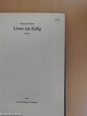 Löwe im Käfig