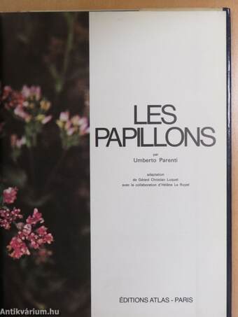 Les Papillons