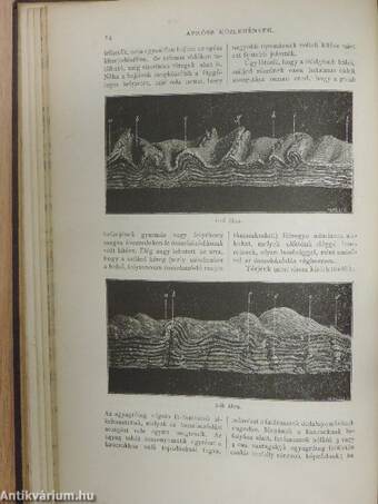 Természettudományi Közlöny 1879. január-december