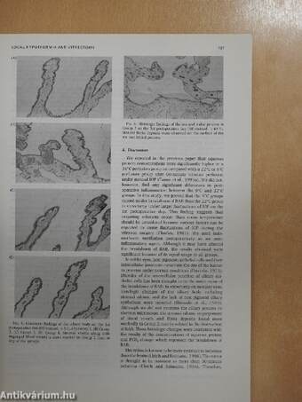 Experimental Eye Research 1997. december