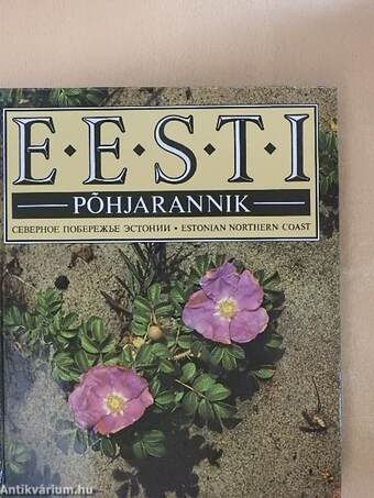 Eesti pohjarannik