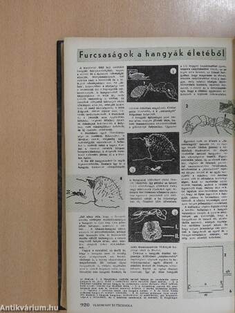 Tudomány és Technika 1961. július-december (fél évfolyam)