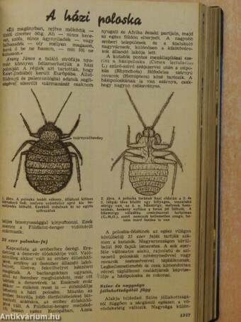 Élet és Tudomány 1953-1954., 1958. (vegyes számok) (21 db)