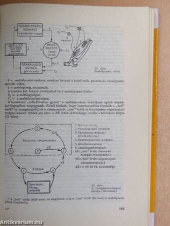 Az edzés elmélete és módszertana