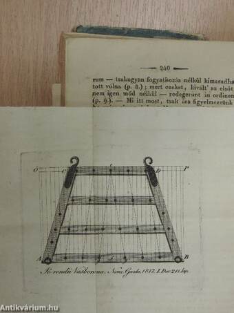 Nemzeti-gazda 1817. (rossz állapotú)