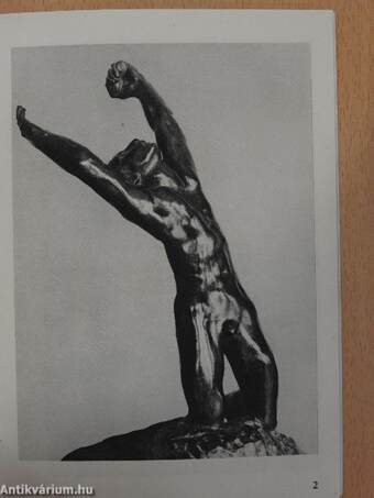 Rodin