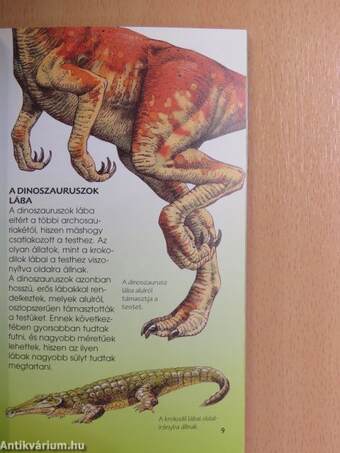 Dinoszauruszok