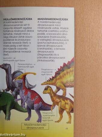 Dinoszauruszok