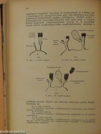 Fertőzés és immunitas (rossz állapotú)