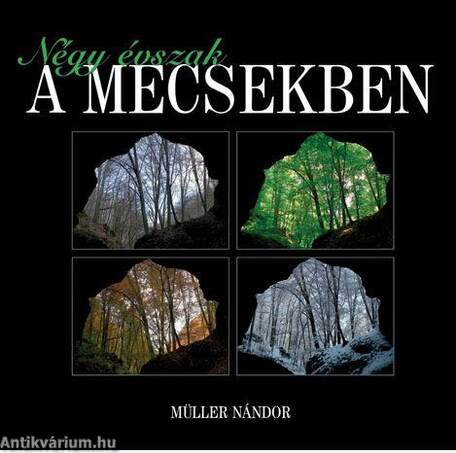 Négy évszak a Mecsekben