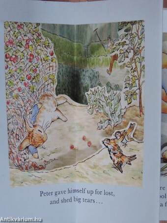 Scenes from The Tale of Peter Rabbit