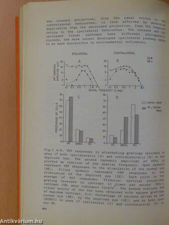 Regulation of Transmitter Function: Basic and Clinical Aspects