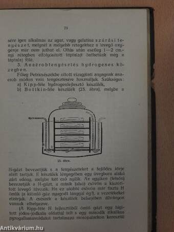 A gyakorlati bakteriologia zsebkönyve