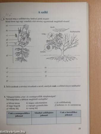 Természetismeret munkafüzet 5.