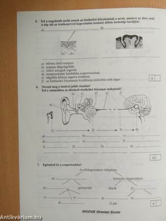 Biológia 8B