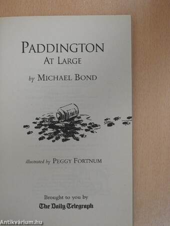 Paddington at Large