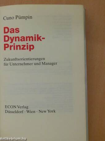 Das Dynamik Prinzip