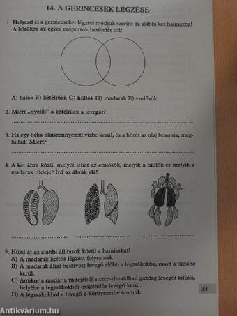 Biológia, egészségtan 9. - Munkafüzet