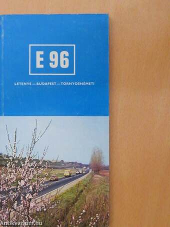 E 96