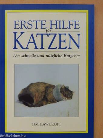 Erste Hilfe für Katzen