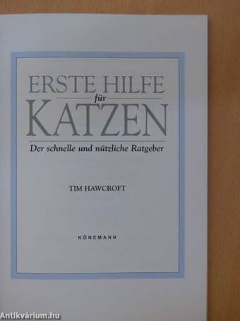 Erste Hilfe für Katzen