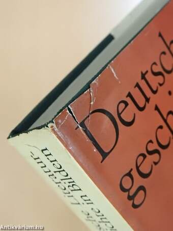 Deutsche Literaturgeschichte in Bildern II.