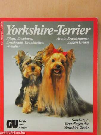 Yorkshire Terrier