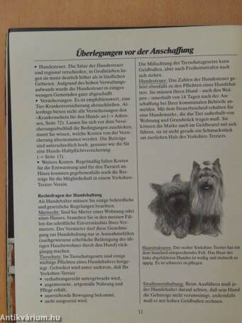 Yorkshire Terrier