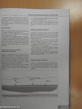 Regisztrált Villanyszerelők Kézikönyve