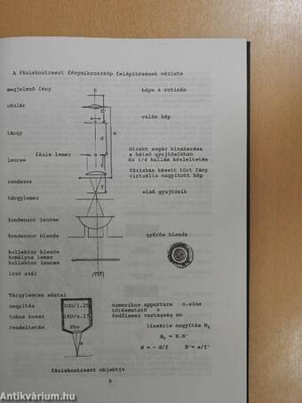 A mikrobiológia alapjai