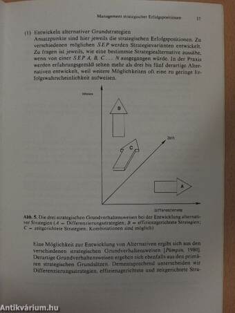 Management Strategischer Erfolgspositionen