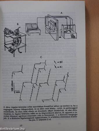 Általános személyiség- és szociálpszichológiai szöveggyűjtemény I.