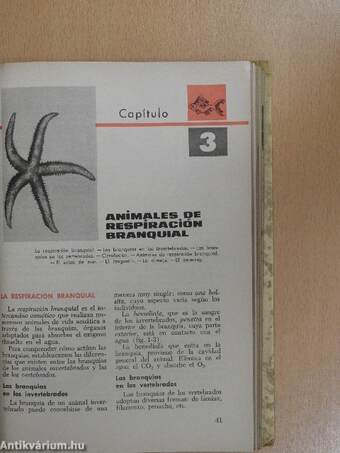 Zoologia