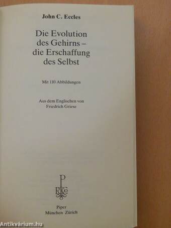 Die Evolution des Gehirns - die Erschaffung des Selbst