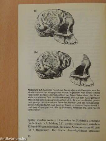 Die Evolution des Gehirns - die Erschaffung des Selbst