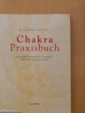 Chakra Praxisbuch