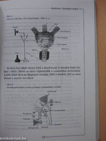 A pszichikus fejlődés problémái