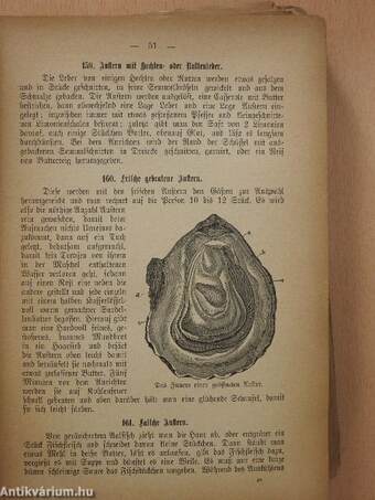 Die wahre Kochkunst oder: neuestes geprüftes und vollständiges illustrirtes Pester Kochbuch (gótbetűs) (rossz állapotú)