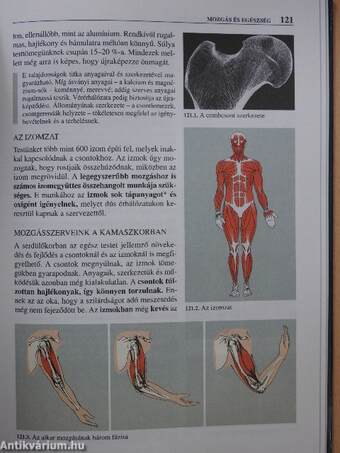 Természetismeret 6.