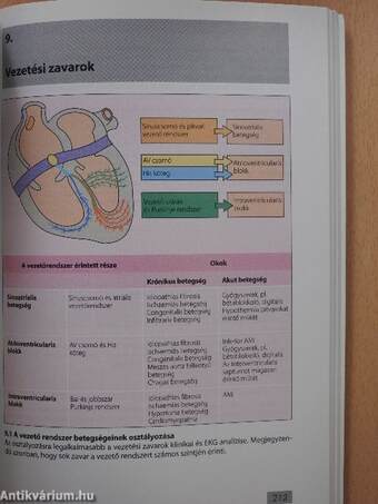 Kardiológiai vizsgálatok képes atlasza