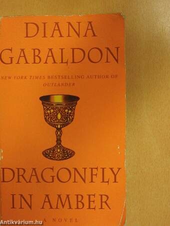 Dragonfly in Amber