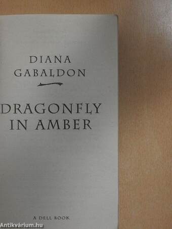 Dragonfly in Amber