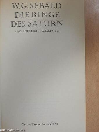 Die Ringe des Saturn