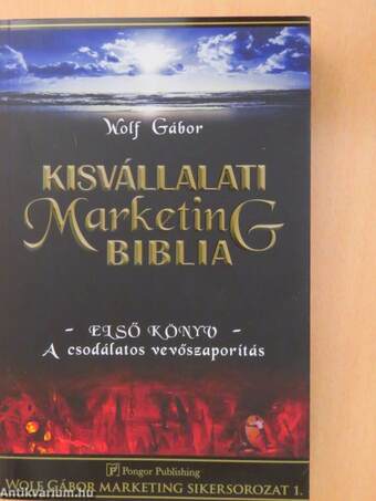 Kisvállalati marketing biblia I.