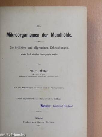 Die Mikroorganismen der Mundhöhle