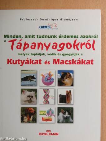 Minden, amit tudnunk érdemes azokról a tápanyagokról melyek táplálják, védik és gyógyítják a kutyákat és macskákat