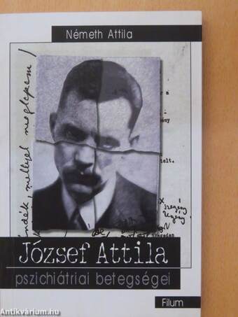 József Attila pszichiátria betegsége(i)