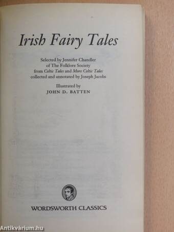 Irish Fairy Tales