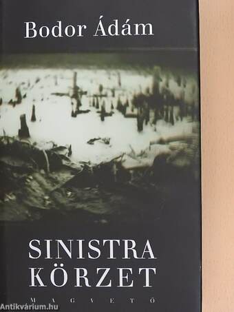 Sinistra körzet