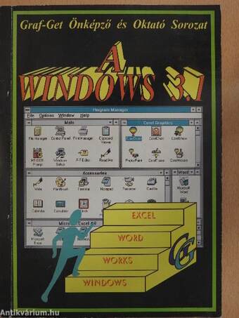 A Windows 3.1